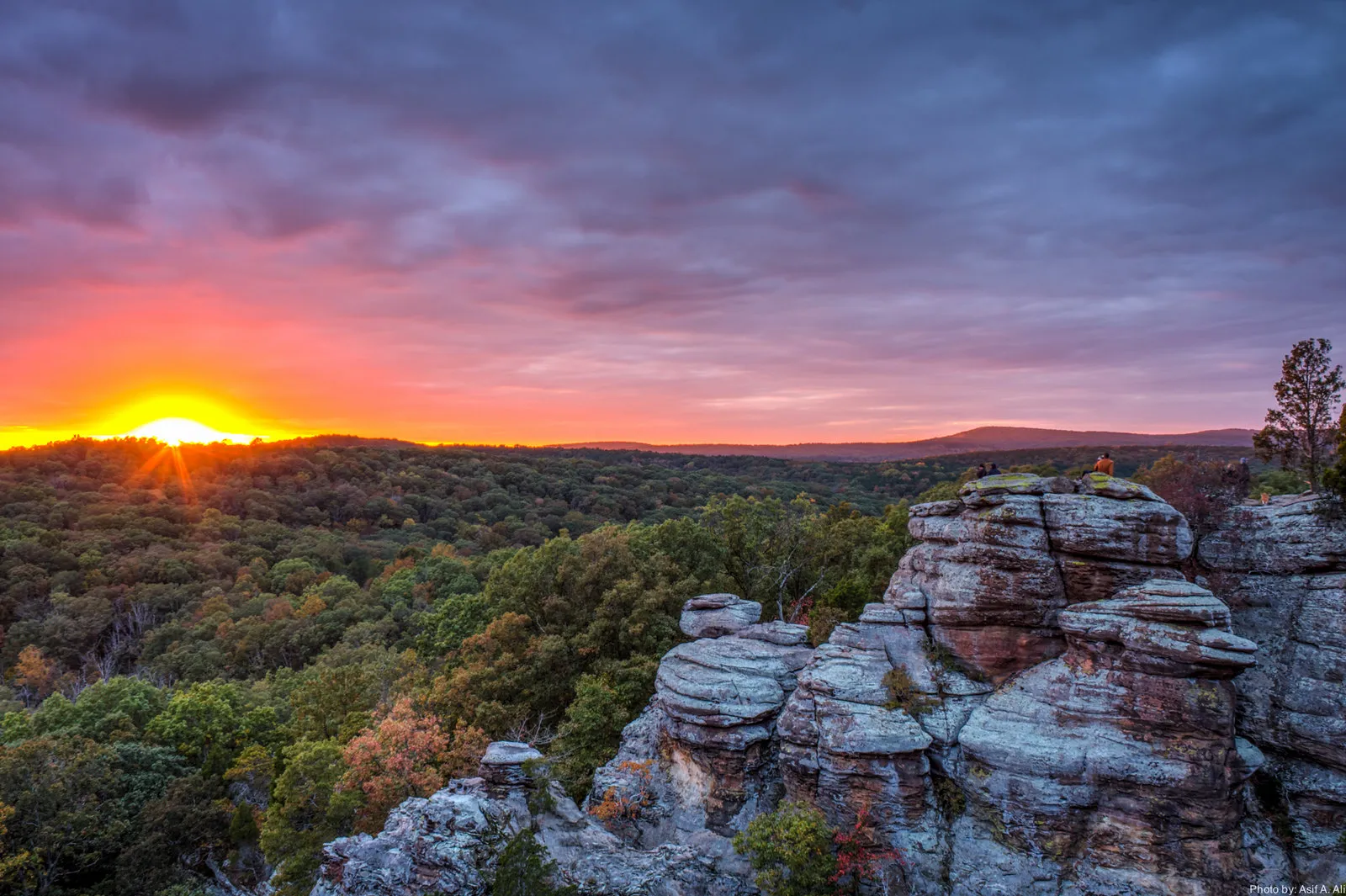 Forest vista in the Shawnee National Forest