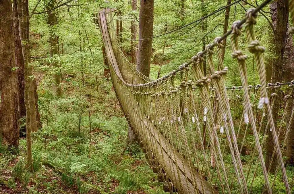 Treetops adventure area in the Shawnee